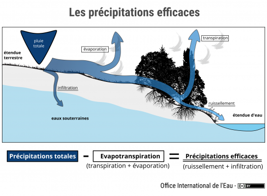 Les précipitations efficaces Les précipitations efficaces