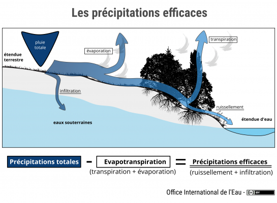 Les précipitations efficaces