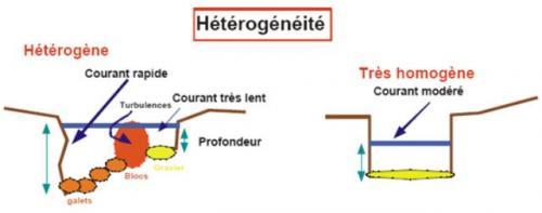 Extrait du guide technique "Gestion physique du littoral" - Bassin RMC